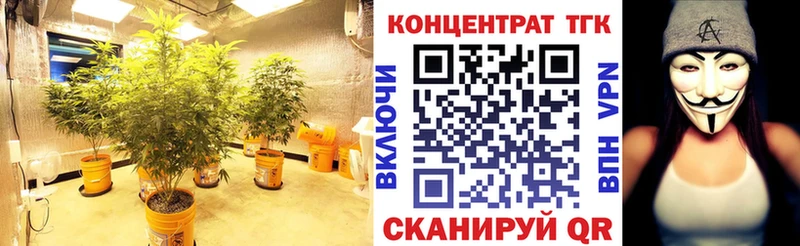Дистиллят ТГК гашишное масло  kraken ССЫЛКА  Покачи  где купить  