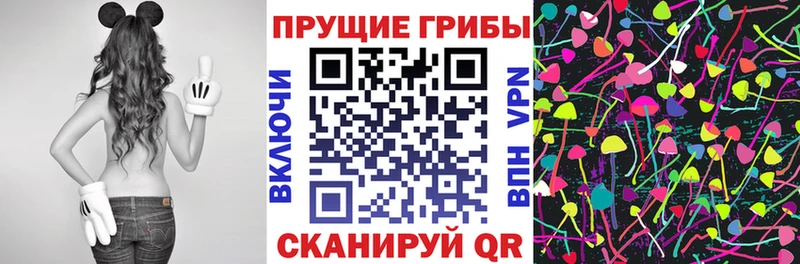 Псилоцибиновые грибы Psilocybe Покачи